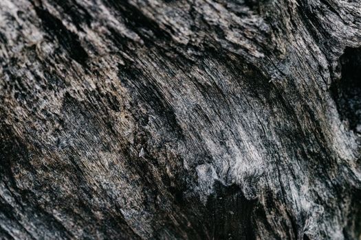 气垫梳和普通梳有什么区别？什么发质适合用气垫梳